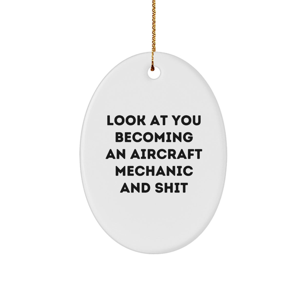 Aircraft Mechanic Oval Ornament Gifts from Friends and Family for Christmas Unique Gifts - Image 1